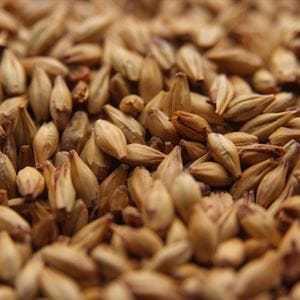 Cara Ruby Malt: Tilføj En Rig Karamelsmag - Hjemmebryggeren