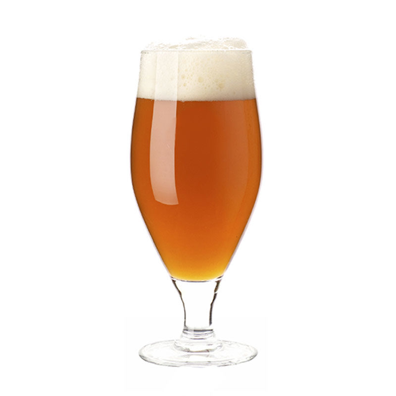 Engelsk Pale ale allgrain kits til ølbrygning køb det her